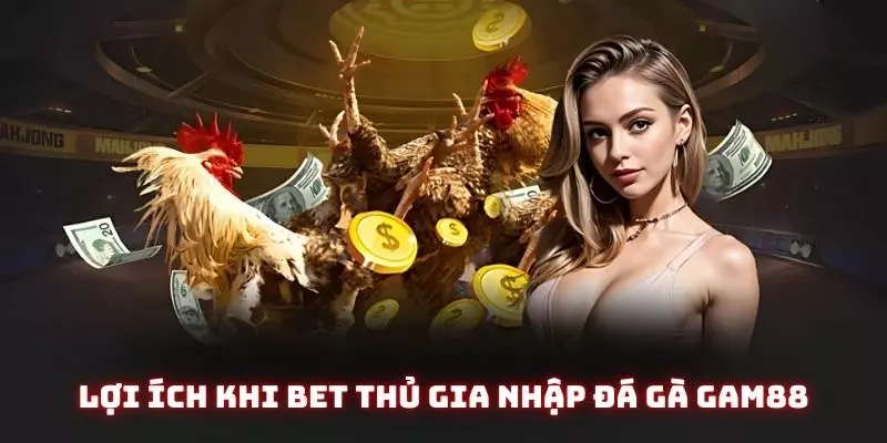 Đá Gà Gam88 - Trải Nghiệm Sân Chơi Cực Đẳng Cấp Cho Năm Ất Tỵ 2 Lợi ích khi bet thủ gia nhập đá gà gam88