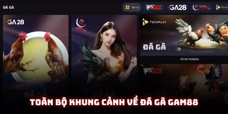 Đá Gà Gam88 - Trải Nghiệm Sân Chơi Cực Đẳng Cấp Cho Năm Ất Tỵ 1 Toàn bộ khung cảnh về đá gà gam88