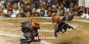 da ga o thomo