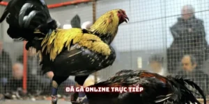 da ga online truc tiep