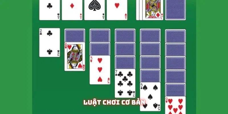 Game Xếp Bài Nhện - Bí Kíp Chơi Hiệu Quả Và Lợi Ích Cho Não Bộ 2 Những điều người mới nên biết